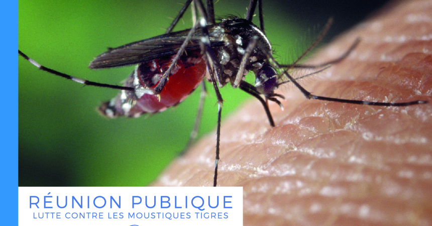 Réunion publique – Lutte contre les moustiques tigres (vendredi 18 février)