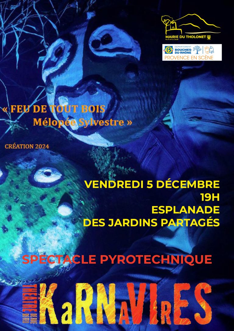 affiche karnavires dec25 OK